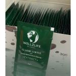 Wellzlife Reishi Mantarlı ve Ginsengli Klasik Kahve