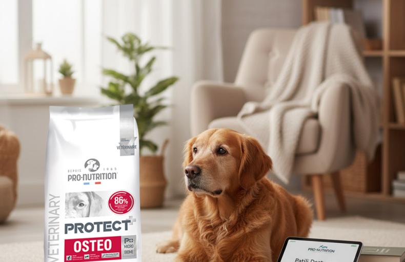 Pro-Nutrition Protect Veterinary Osteo ile Eklem Sağlığını Koruyun