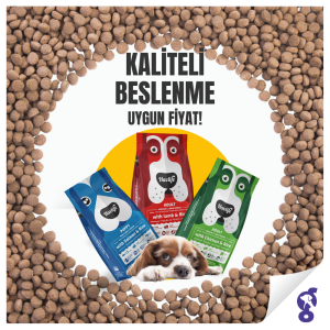 Havlife Köpek Maması: Sağlıklı, Zengin İçerikli ve Uygun Fiyatlı Seçenek!