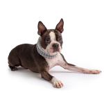 GF PET Chalet Boyun Atkısı - Gri