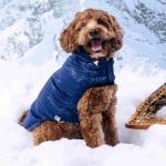 GF PET Lunar Glow Köpek Montu - Lacivert