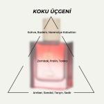 SoLife Alizia Eau de Parfum for Women