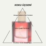 Cocktail Alégria Eau de Parfum – A Symphony of Energy and Elegance