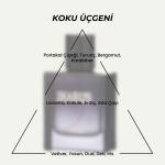 SoLife Ikarus Eau de Parfum – Unisex