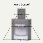 SoLife Leonard Eau de Parfum for Men