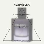 SoLife Orlando Eau de Parfum – Unisex