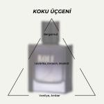 SoLife Rolf Eau de Parfum – Unisex