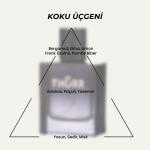 SoLife Thorr Eau de Parfum for Men